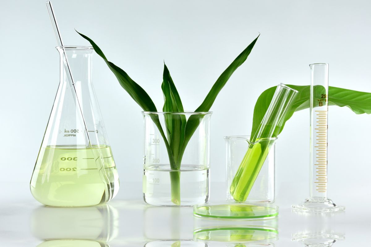green liquids and leaves in beker